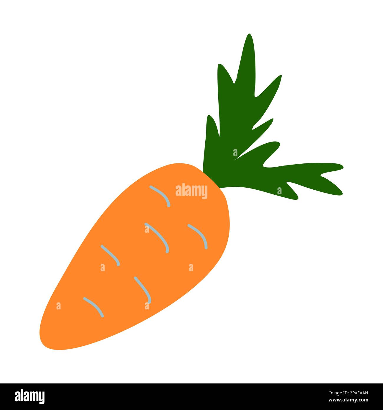 Carota croccante fresca con foglie, disegno vettoriale stile doodle Illustrazione Vettoriale