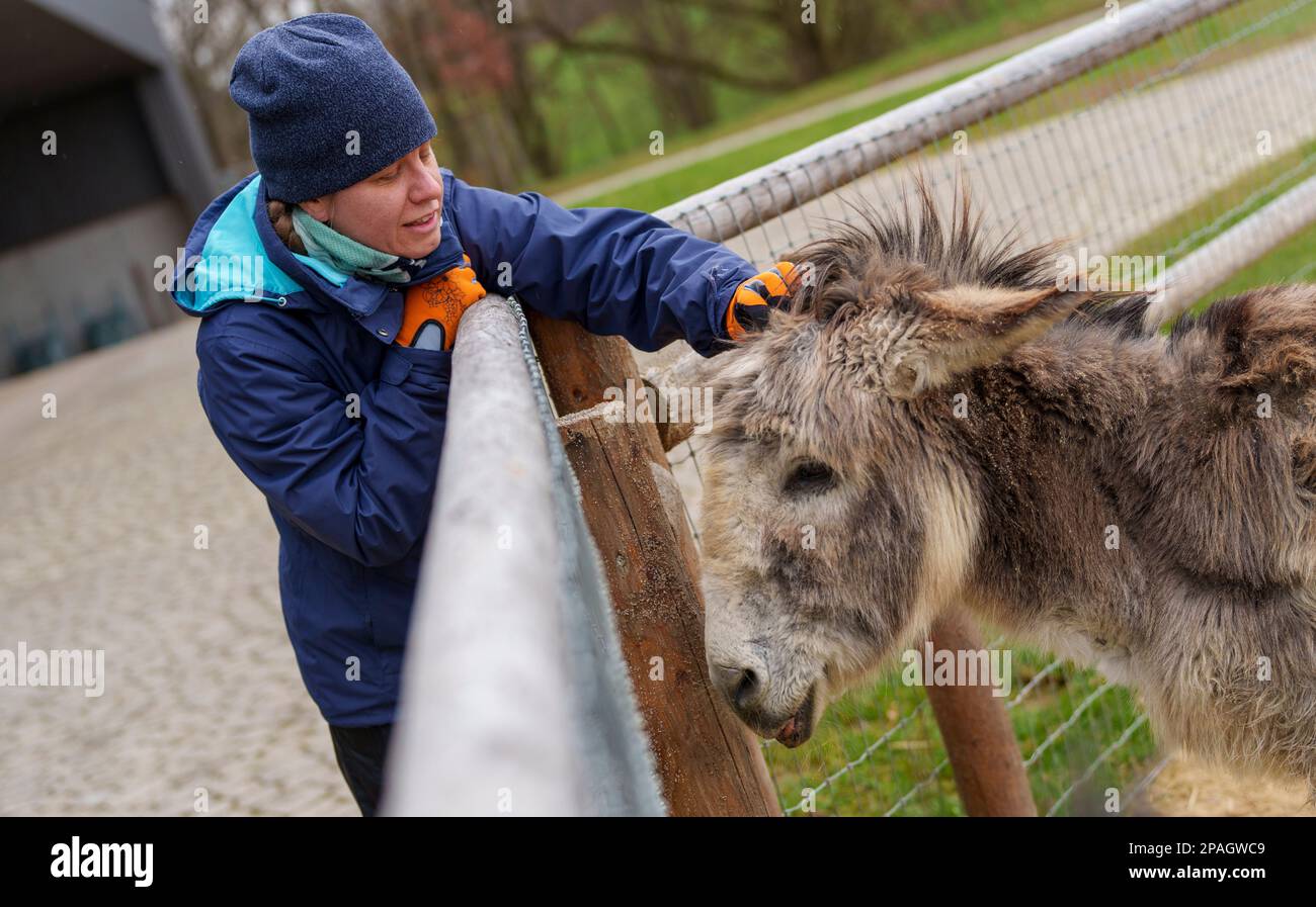 Fulda, Germania. 07th Mar, 2023. Lea Widmer, ranger volontario, asino nana incatenato 'Fevell'. Lo zoo offrirà anche opportunità di incontro tra persone e animali. La mostra orticola statale (27,04. A 08.10.2023) si basa sul motto "Fulda connects". Saranno esposti vari temi di giardino e progetti quadro su 32 ettari di spazio espositivo e 10 ettari di spazio espositivo agricolo. (A dpa 'brisk ticket request for the state Garden Show in Fulda') Credit: Andreas Arnold/dpa/Alamy Live News Foto Stock