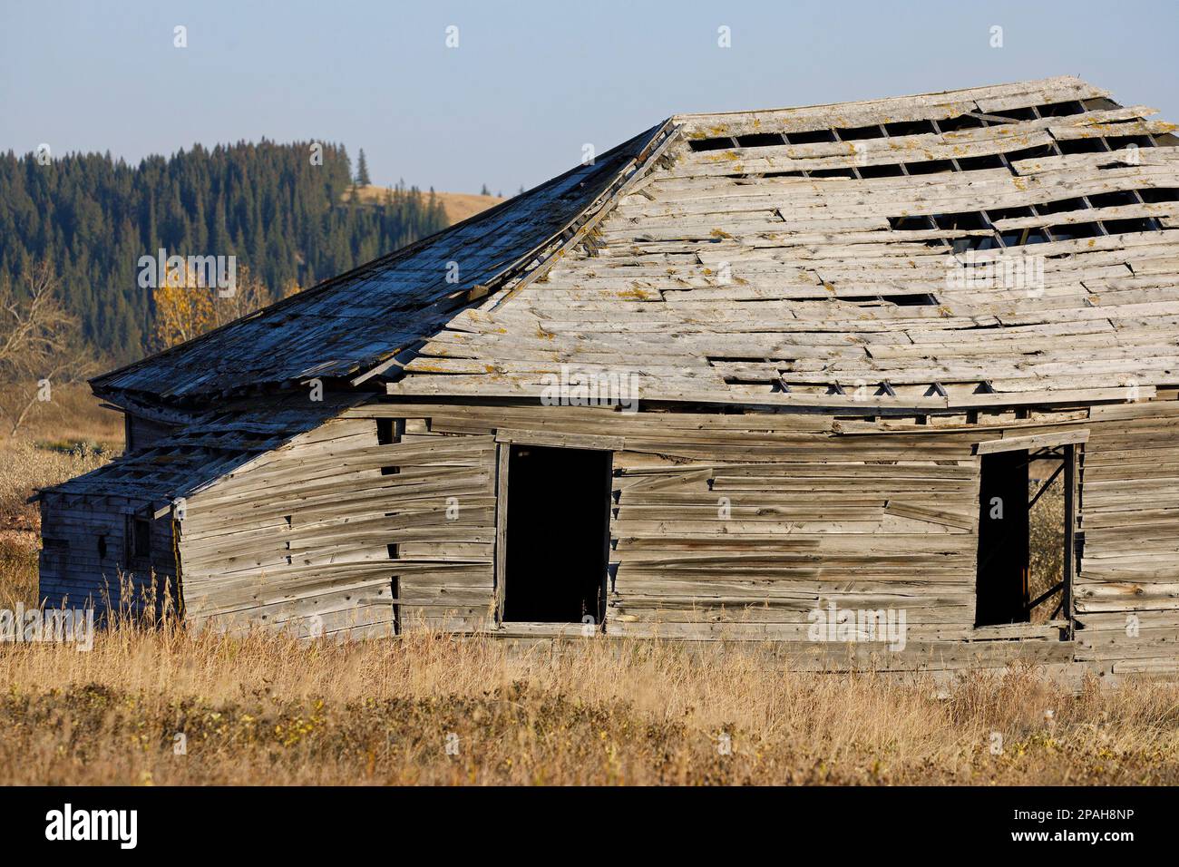 Abbandonato storico generale negozio e ufficio postale in legno edificio a Glenbow Ranch Provincial Park, Alberta, Canada Foto Stock
