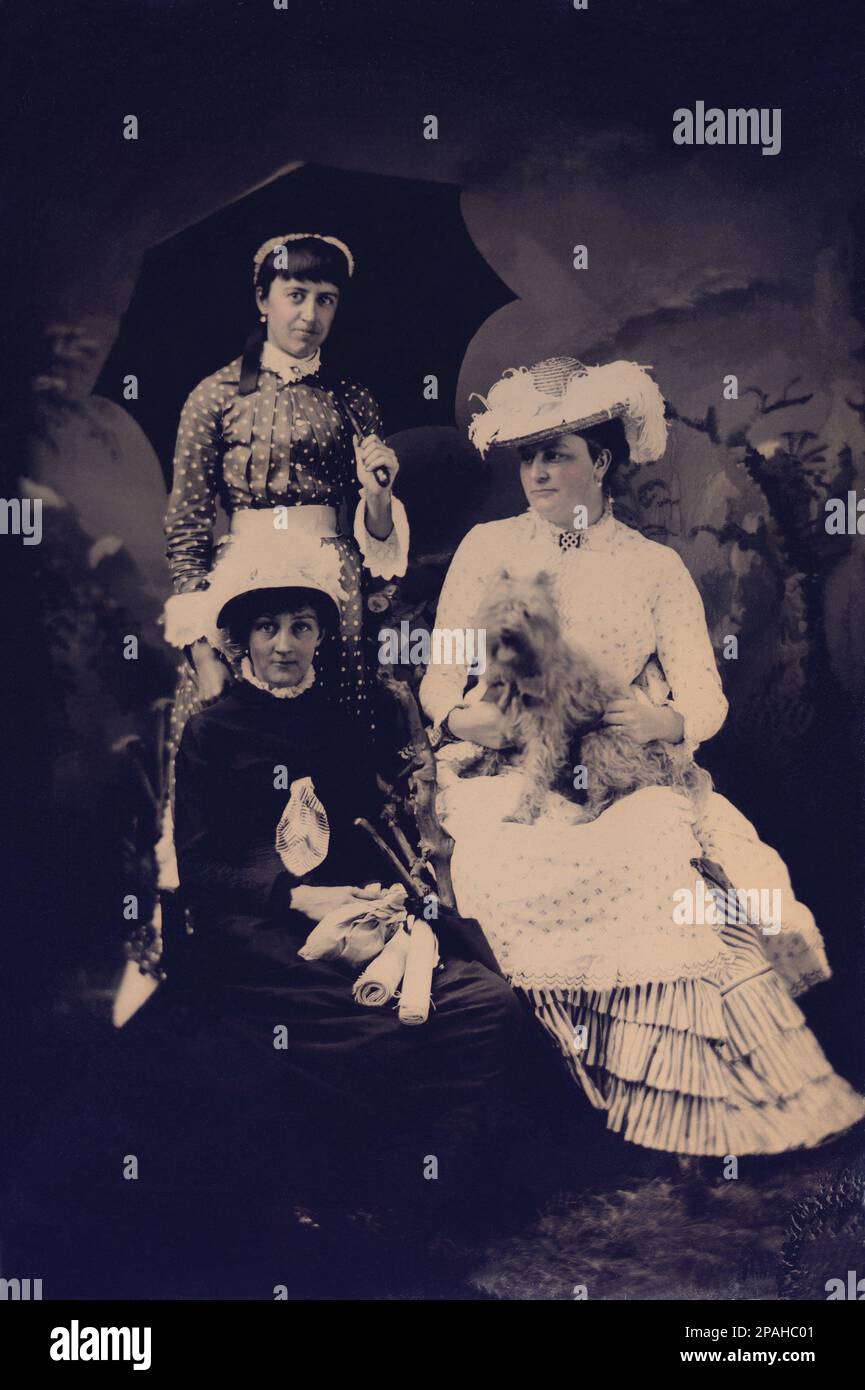 1890 ca , Gran Bretagna : Due sorelle con madre - GIOCATTOLI - giocattolo - giocattoli - BAMBOLA - bambole - SORELLE - FOTO STORICHE - FOTO STORICHE - foto DI STORIA - - bambino - bambina - bambina - BAMBINA - BAMBINO - bambini - BAMBINI - BAMBINI - BAMBINI - poi - polkadots - INFANZIA - ombrello - ombrello - cappello - cappello - piume - canna - cane - Yorkshire - pik-nick - turismo - turismo - turismo - turismo - turismo - turisti - animali da compagnia - animale domestico - animale domestico domestico - OTTOCENTO - MILLEOTTOCENTO - 800's - '800 - INGHILTERRA - FIGLIE - DAUGTHERS - moda - famiglia - famiglia - in campagna - sul versante della campagna - ambrotipo - ambrotipo Foto Stock