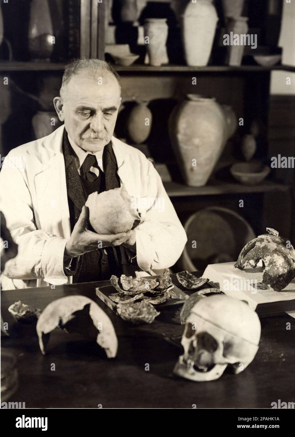 1941 , dicembre , TORINO , ITALIA : il Professor Senstore GIOVANNI MARRO ( Limone Piemonte (CN) 1875 - Torino 1952 ) nel suo laboratorio di MUSEO DI TORINO esaminano le ossa teschi dolicocefalo di preistorici trova nel promontorio DEL GARGANO ( Puglia - Puglia ) Marro si laureò in Medicina e Chirurgia, fu diretto del laboratorio di anatomia dell'Ospedale Psichiatrico di Collegno (TO) e in seguito diretto dei quattro istitutti psichiatrici di Torino. Dal 1911, su invito dell’egittologo Ernesto Schiaparelli, partecipò come antropologo alla missione Archeologica italiana in Egitto. Riuscito Foto Stock
