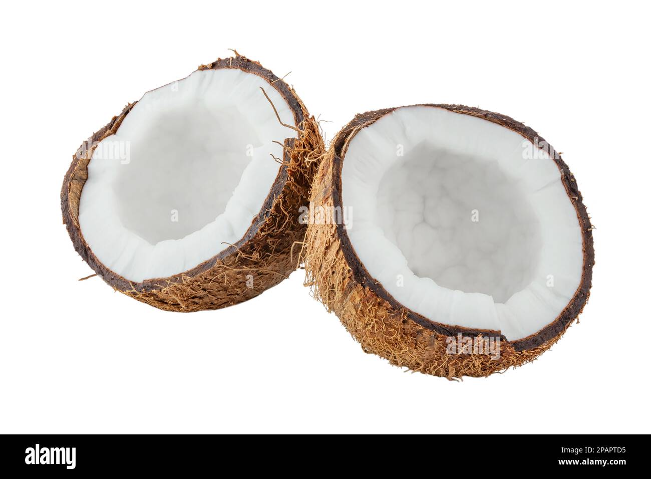 Frutta tropicale, due metà di un isolato di cocco su sfondo bianco. Il file contiene il percorso di ritaglio. Profondità di campo completa. Foto Stock