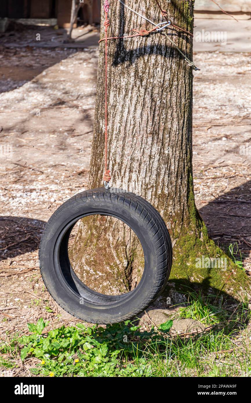 Un vecchio pneumatico è usato come un'oscillazione, attaccandolo con una corda ad un ramo dell'albero Foto Stock