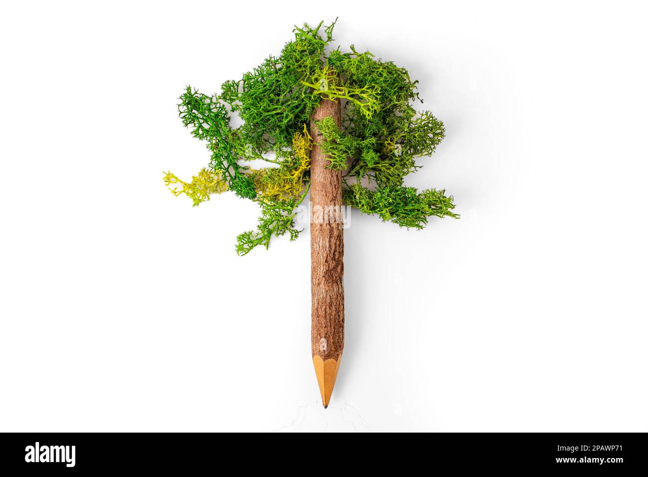 Forma di un albero fatto di crayon di ramificazione e lichene su sfondo bianco, concetto ecologico Foto Stock