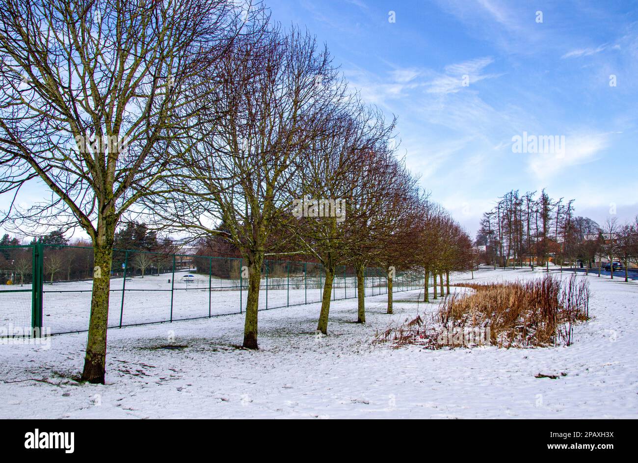 Dundee, Tayside, Scozia, Regno Unito. 12th Mar, 2023. UK Weather: Notte neve coperta Ardler Village a Dundee, ma la neve si sta scongelando a causa dell'arrivo di un clima più mite e più soleggiato con temperature che raggiungono i 9°C. Credit: Dundee Photographics/Alamy Live News Foto Stock