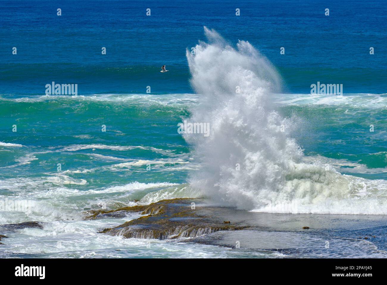 Attenzione, dietro di te Foto Stock