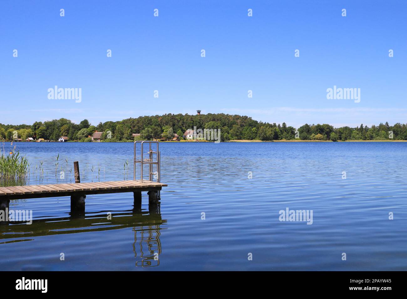 Vista del lago di Cracovia (Krakower See) con la torre di osservazione sullo sfondo, Meclemburgo Pomerania occidentale - Germania Foto Stock