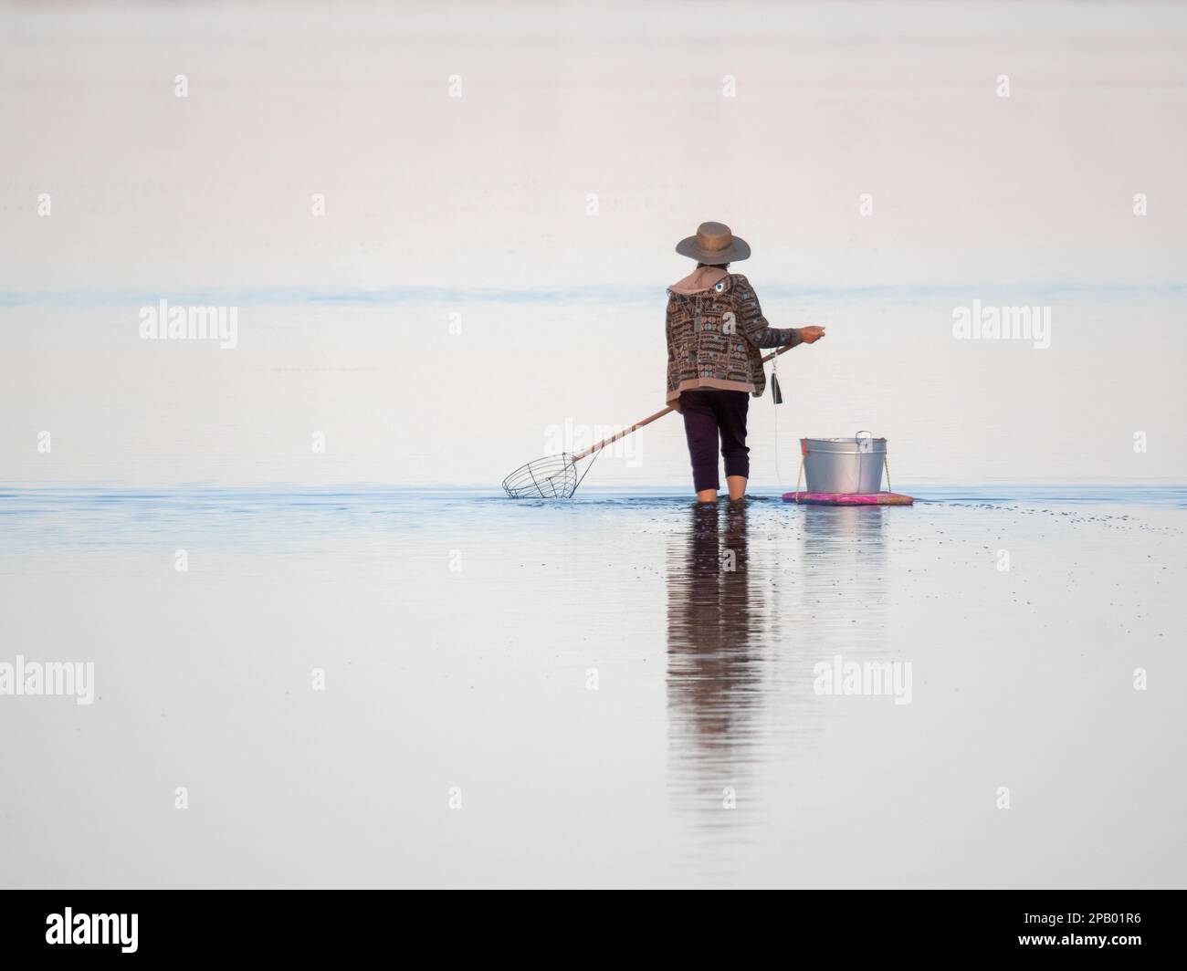 Persona non identificabile pesca di granchio con una paletta nell'estuario, un passatempo ricreativo popolare, Mandurah, Australia Occidentale Foto Stock