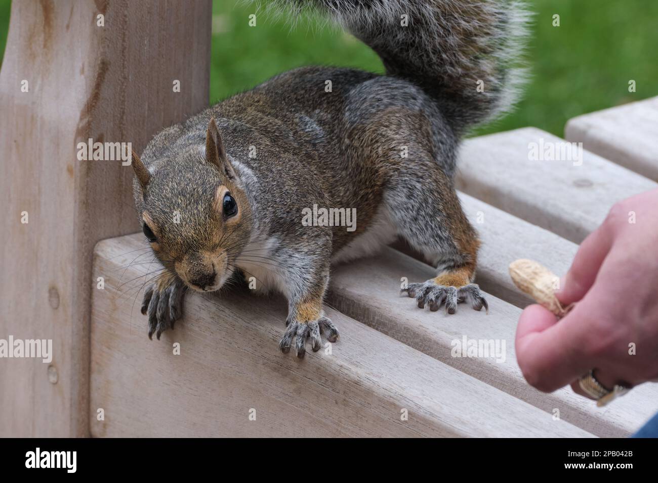 No troppo sicuro Foto Stock