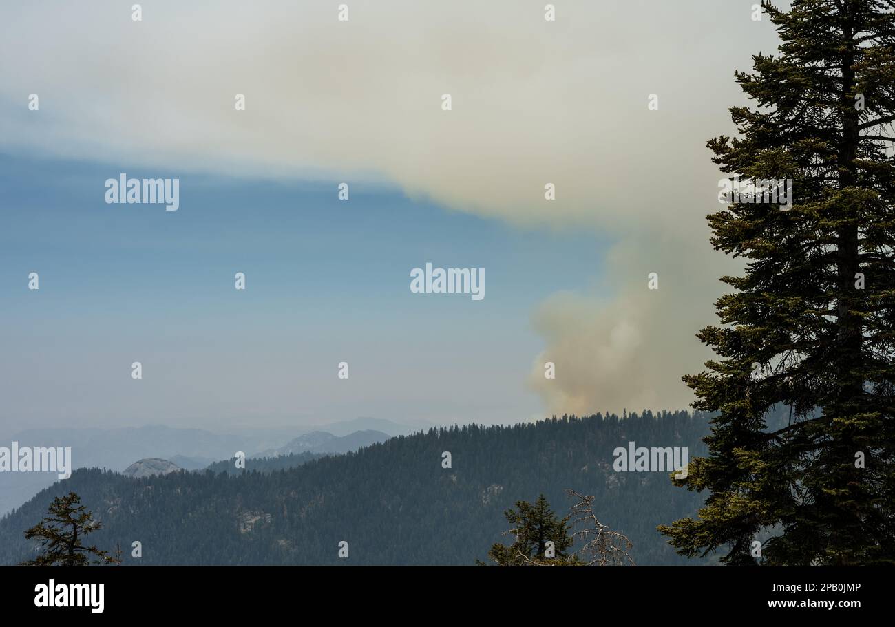 Il fumo proveniente da un'ustione controllata crea una nuvola di fumo sul Sequoia National Park Foto Stock