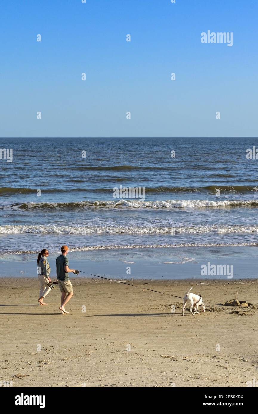 Galveston, Texas, Stati Uniti - febbraio 2023: Due persone portano un cane sulla spiaggia durante la bassa marea Foto Stock