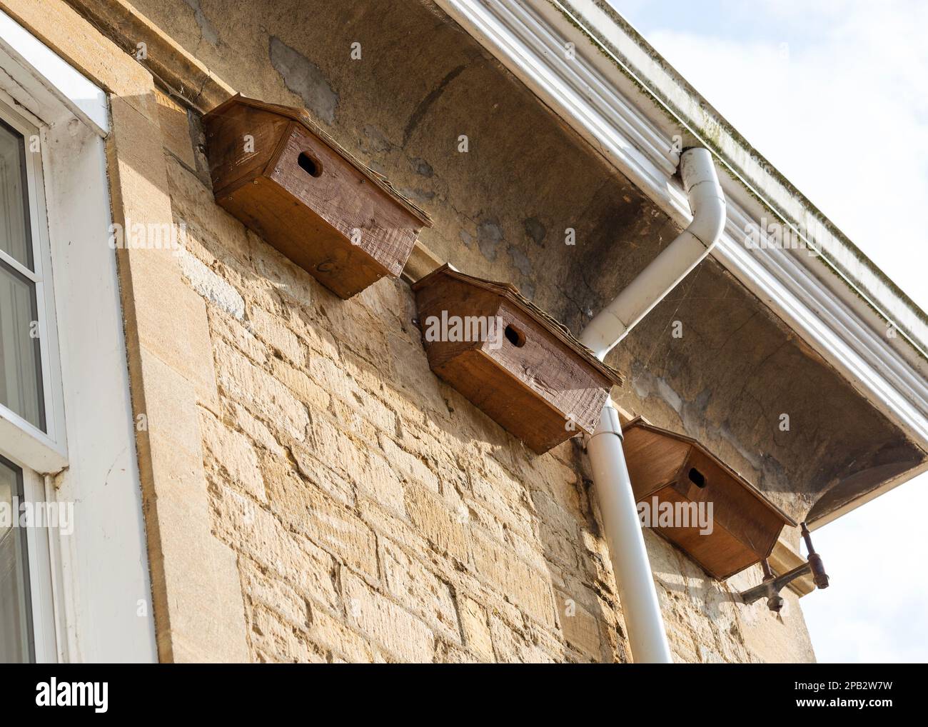 Scatole di nido Swift su una casa, Regno Unito Foto Stock