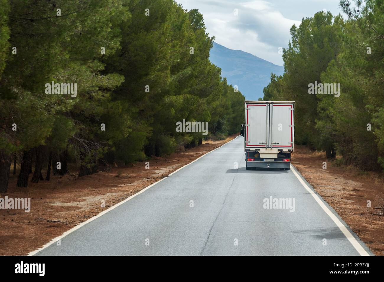 Piccolo camion con box chiuso che guida su una strada stretta attraverso una pineta.Paesaggio. Foto Stock