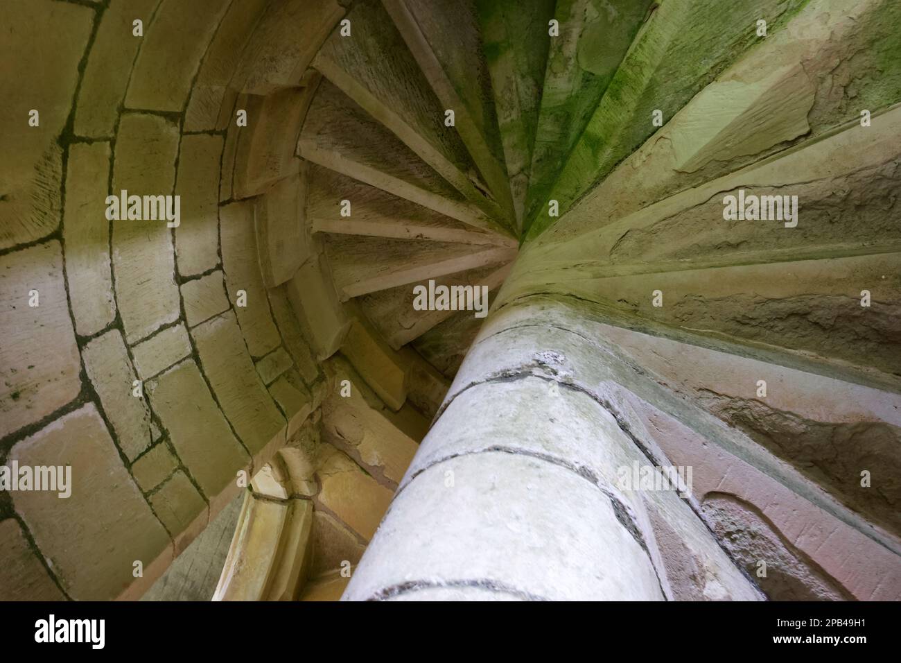 Rovine del vecchio Castello di Wardour, dettagli delle scale a chiocciola Foto Stock