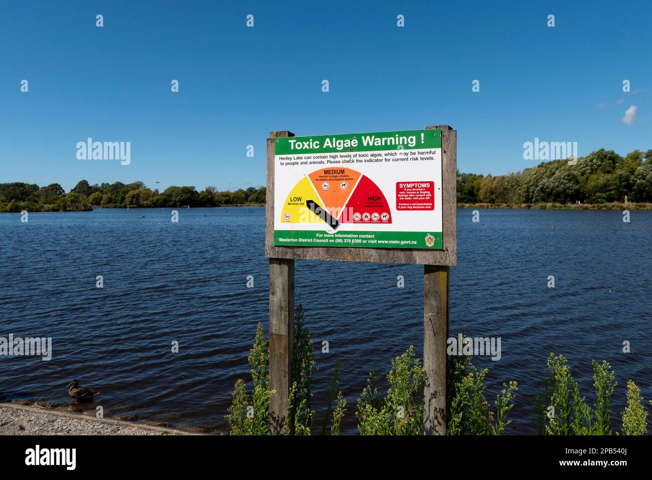 Henley Lake Park a Masterton, Nuova Zelanda, in una giornata estiva intensa. Segnale di avvertimento delle alghe tossiche impostato su basso. Avviso con informazioni sui sintomi Foto Stock