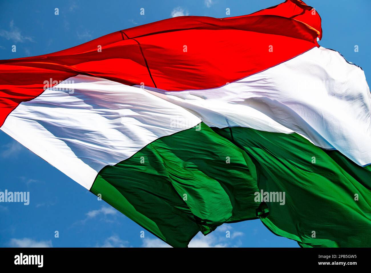 Bandiera ungherese che sventola nel vento Foto Stock