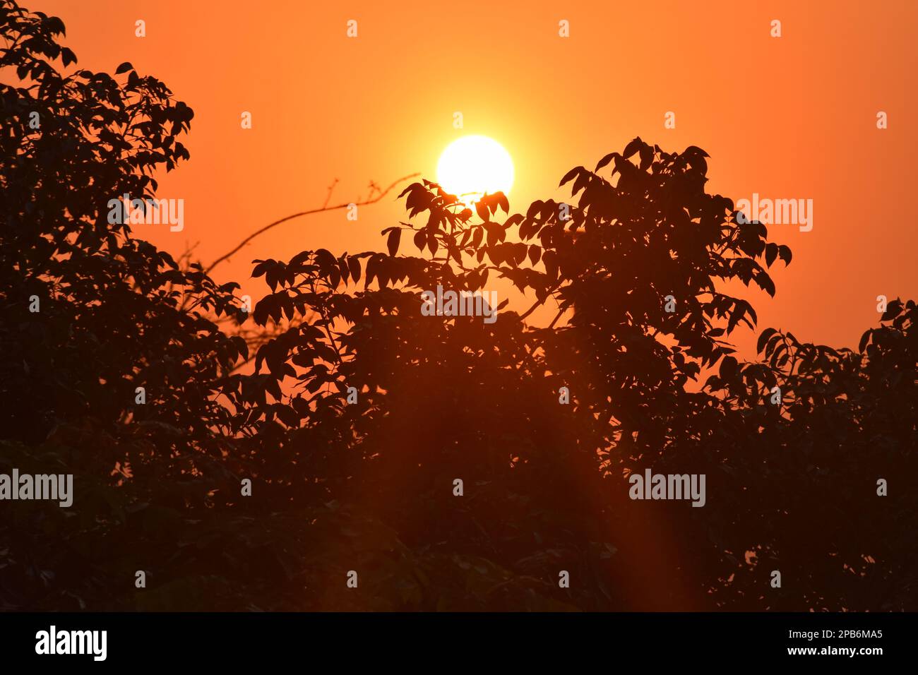 Quanti di voi amano i tramonti?? Foto Stock