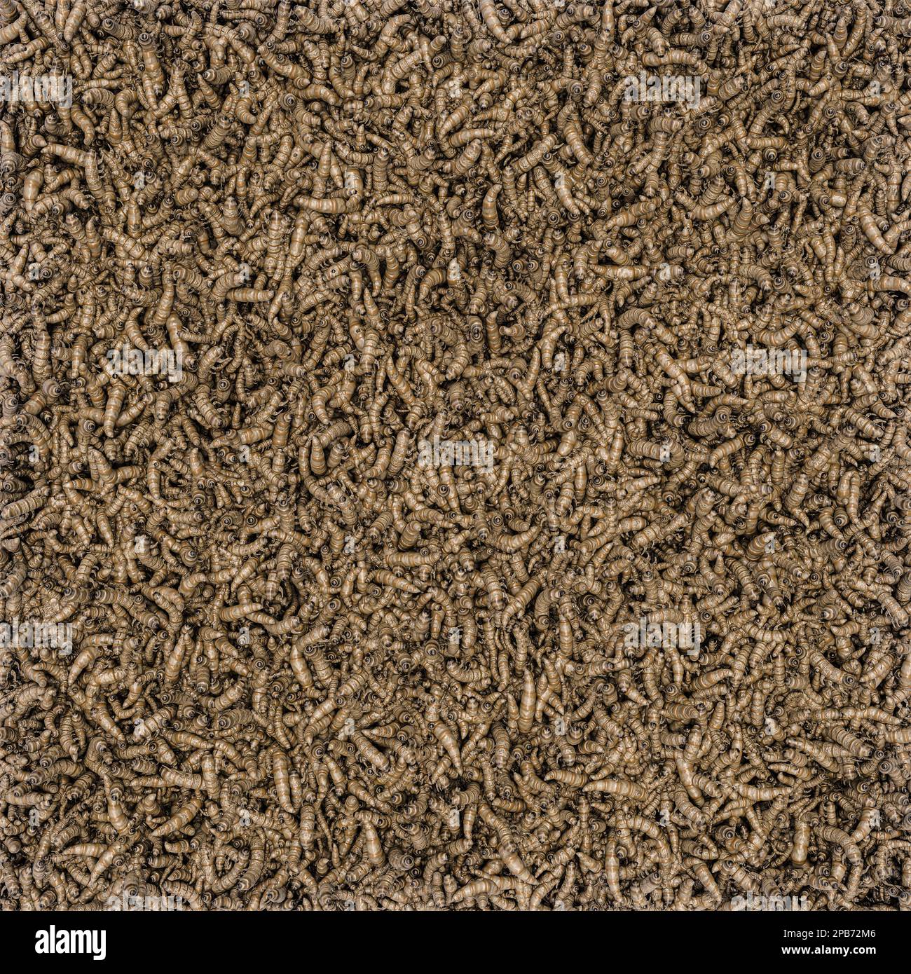 Texture con larve di cricket - 3D illustrazione Foto Stock