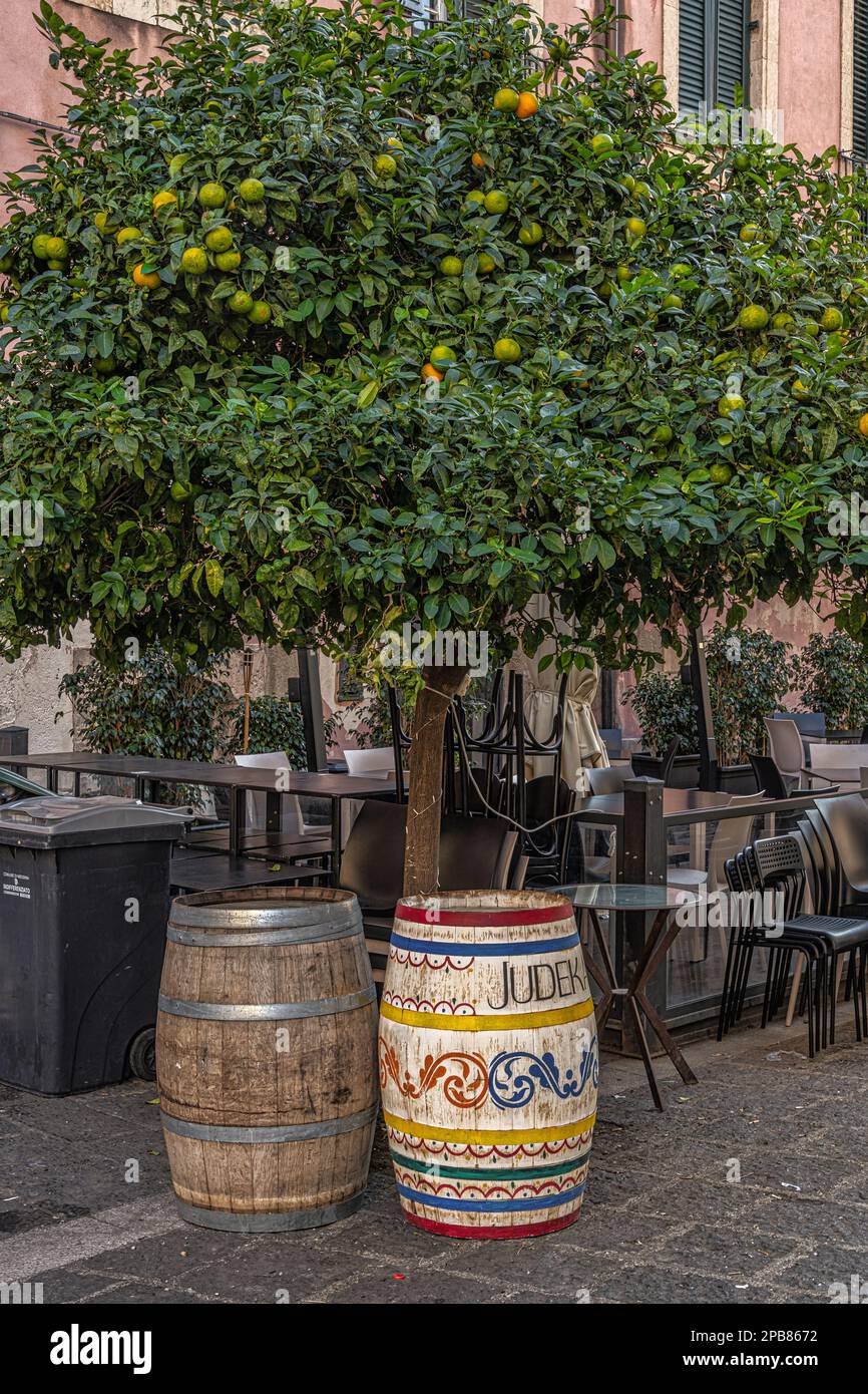 Un limone con due botti decorate di fronte ad un piccolo ristorante nel centro storico di Messina. Messina, Sicilia, Italia, Europa Foto Stock