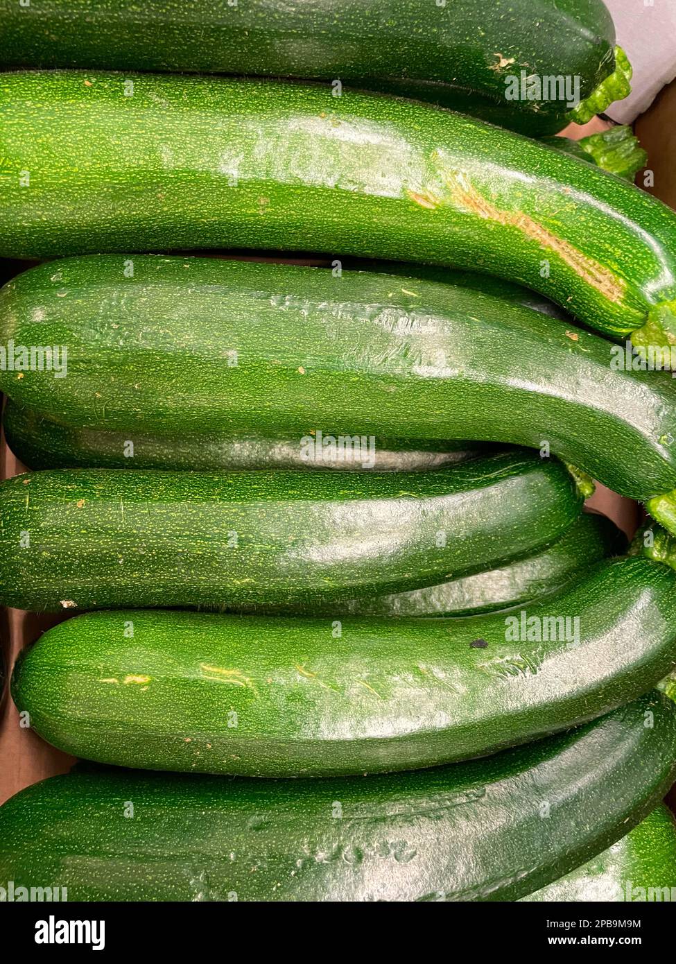 Zucchine fresche, verdura verde sul locale mercato contadino, appena raccolto la zucchina, estate squash Foto Stock