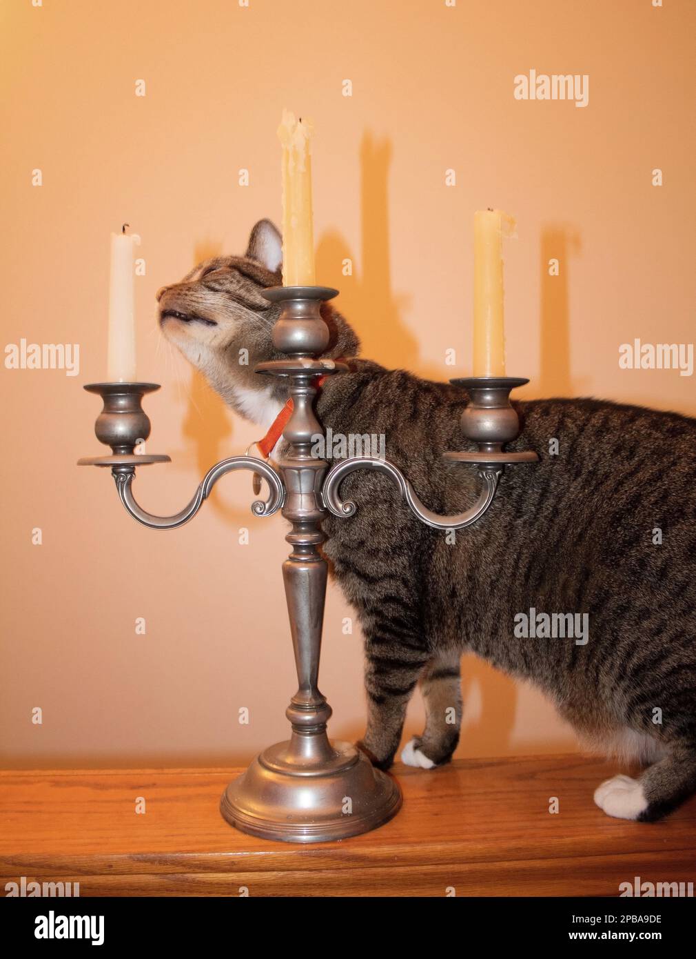 Hemi kitty controllare le candele Foto Stock