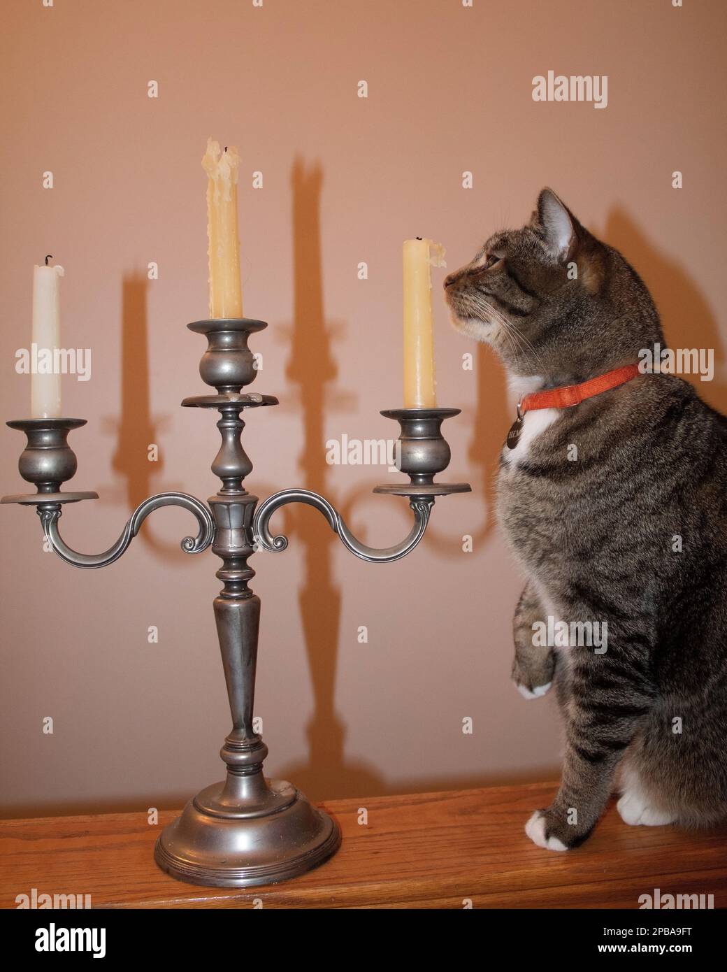 Hemi kitty controllare le candele Foto Stock