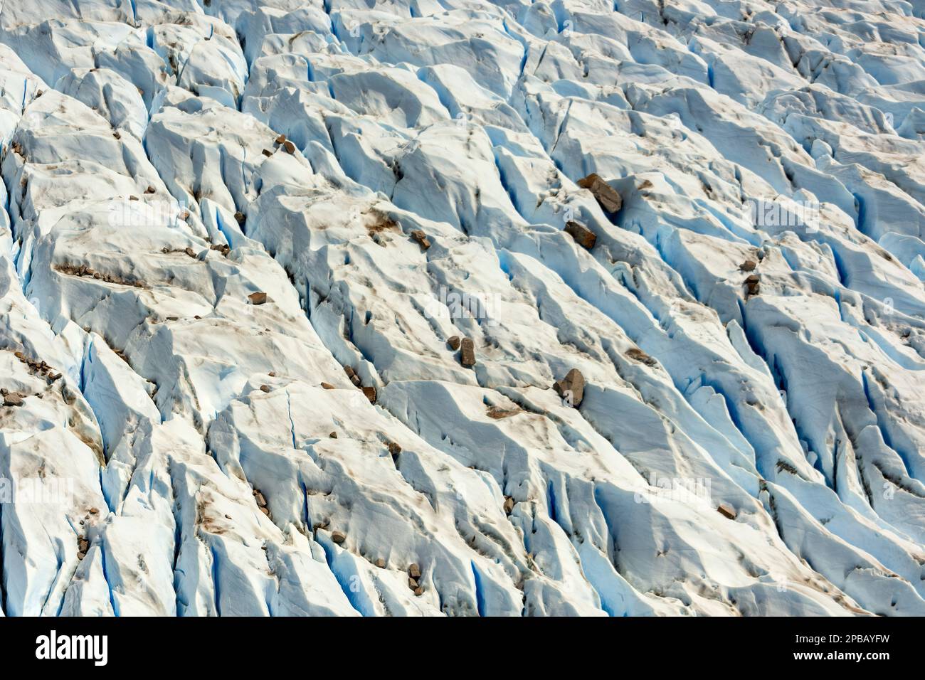 Rocce glaciali che vengono trasportate lungo Glacier Nef, Parque Nacional Laguna San Rafael, Aysen, Patagonia, Cile Foto Stock