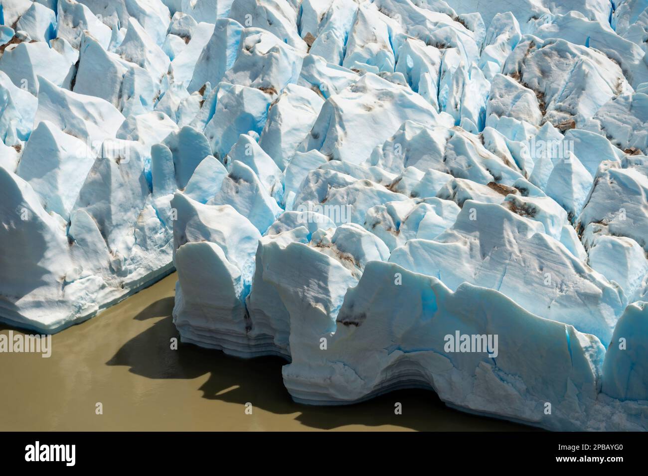 Facciata del ghiacciaio Nef, Parque Nacional Laguna San Rafael, Aysen, Patagonia, Cile Foto Stock