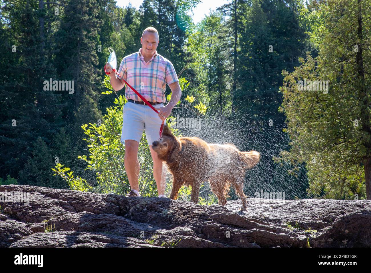 Un cane bagnato scuote l'acqua sul suo amico migliore del proprietario maschio bello Foto Stock