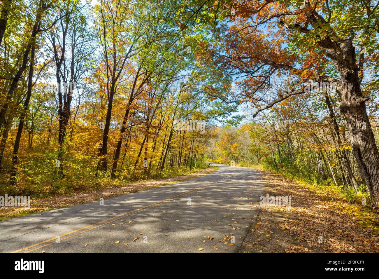 Bellissima strada per il parco attraverso una foresta di colorate foglie autunnali al William o'Brien State Park vicino a Marine su Saint Croix Minnesota Foto Stock