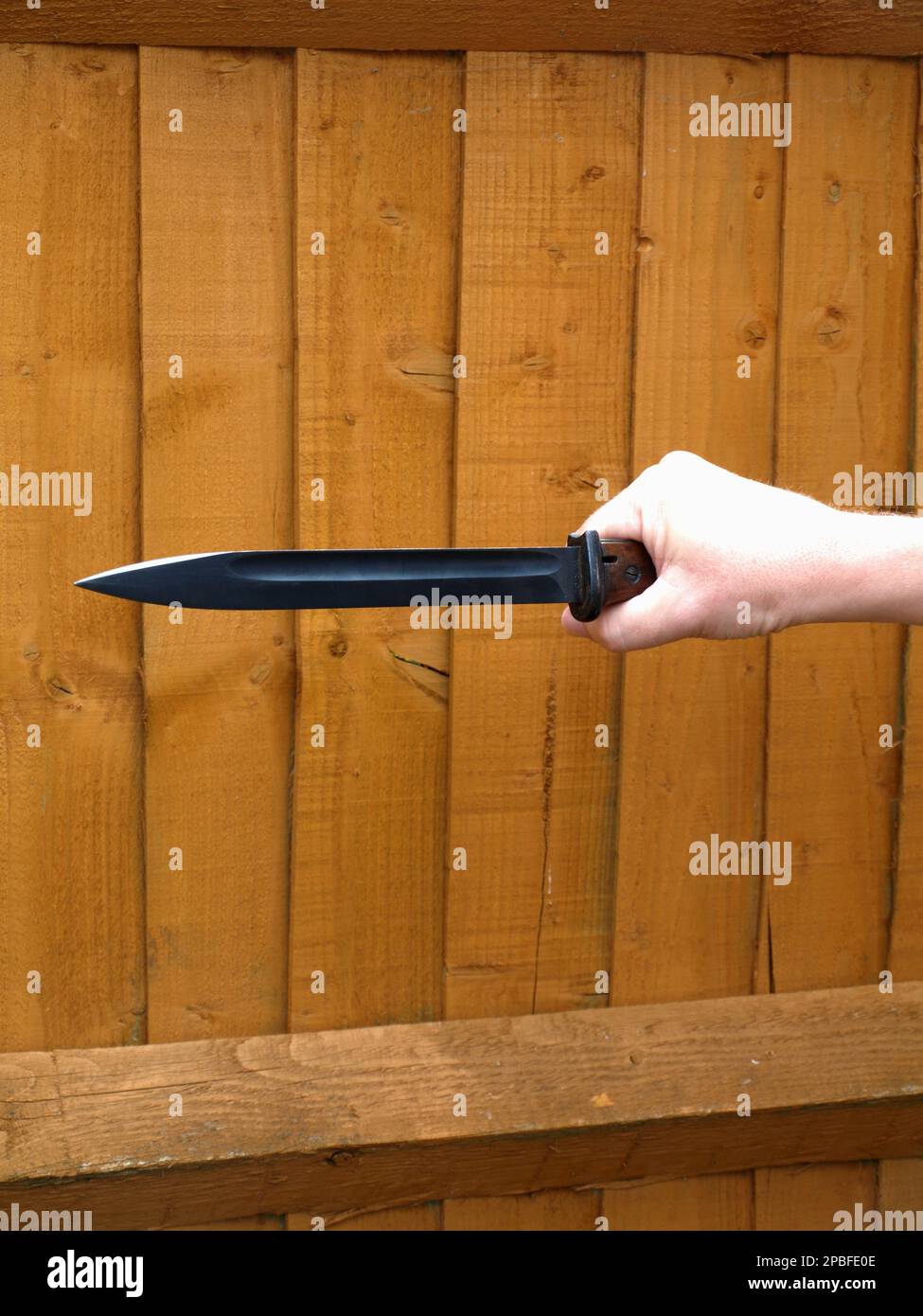 Seconda Guerra Mondiale Bayonet tedesca Foto Stock