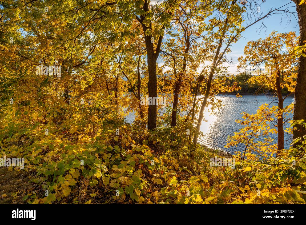 Un tranquillo parco a Fridley, Minnesota, lungo il fiume Mississippi in autunno Foto Stock