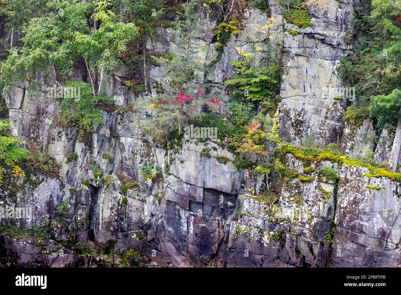 I colori autunnali emergono nel canyon roccioso sopra il fiume Saint Croix vicino a Taylors Falls Minnesota Foto Stock