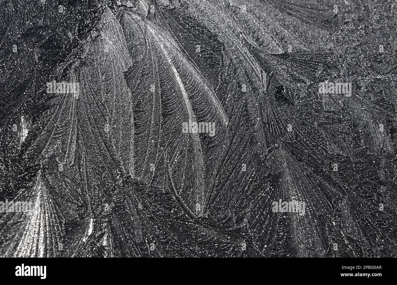 Frost con motivi come piuma sul cofano della mia auto all'inizio di marzo Foto Stock
