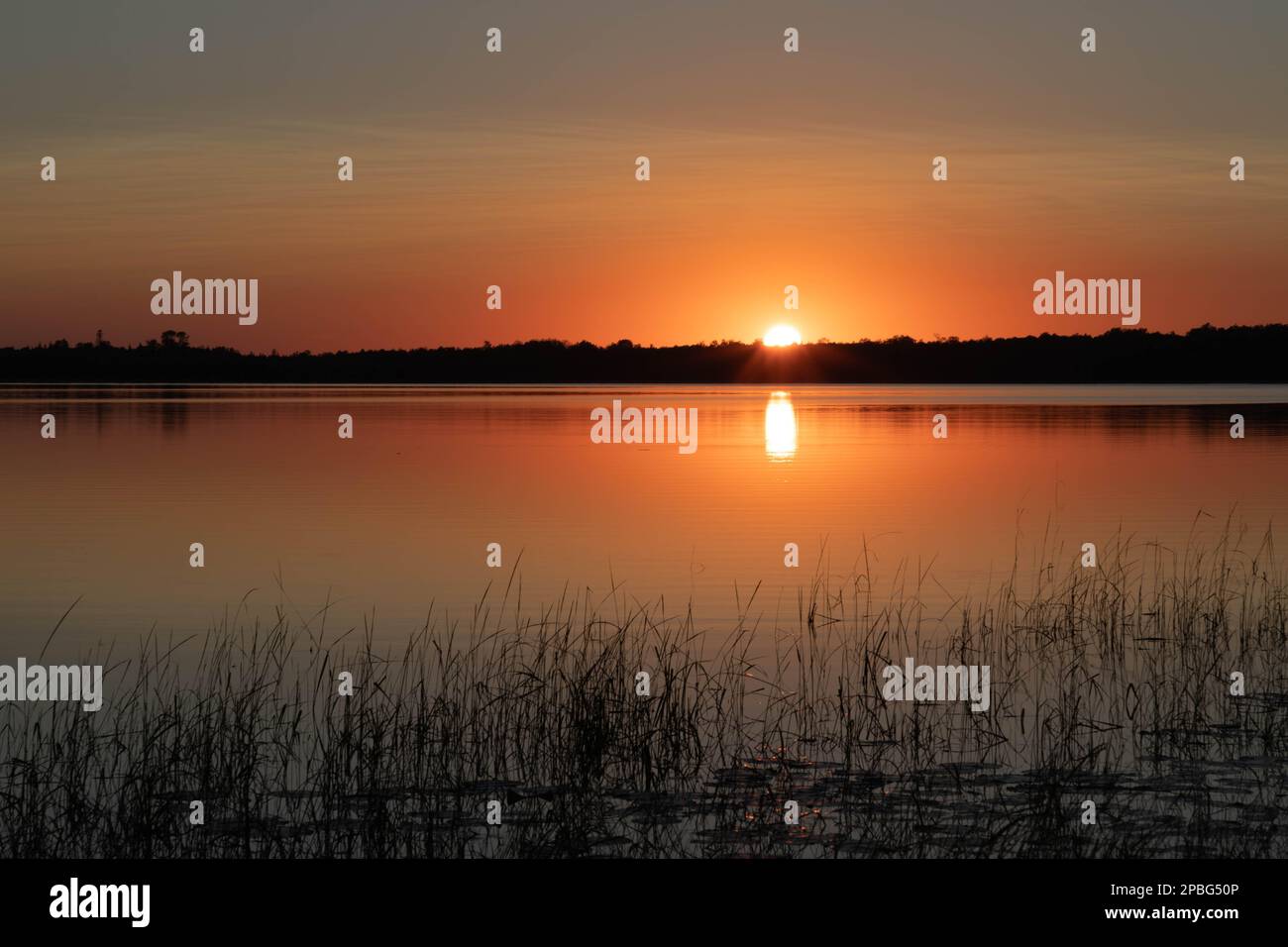 Tramonto dorato profondo sul lago del Minnesota settentrionale in tarda estate Foto Stock