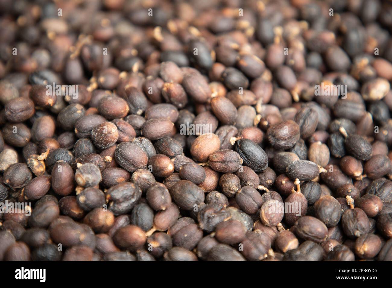 Texture dei chicchi di caffè con aspetto closeup dei chicchi di caffè che possono essere preparati in caffè espresso o bevande aromatizzate alla moka ricche di colore Foto Stock