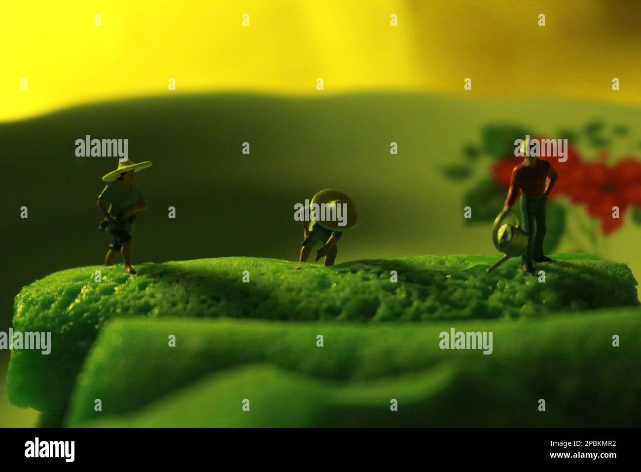 figure in miniatura di agricoltori al lavoro su pancreola verde rotolini. concetto di agricoltura foto. Foto Stock