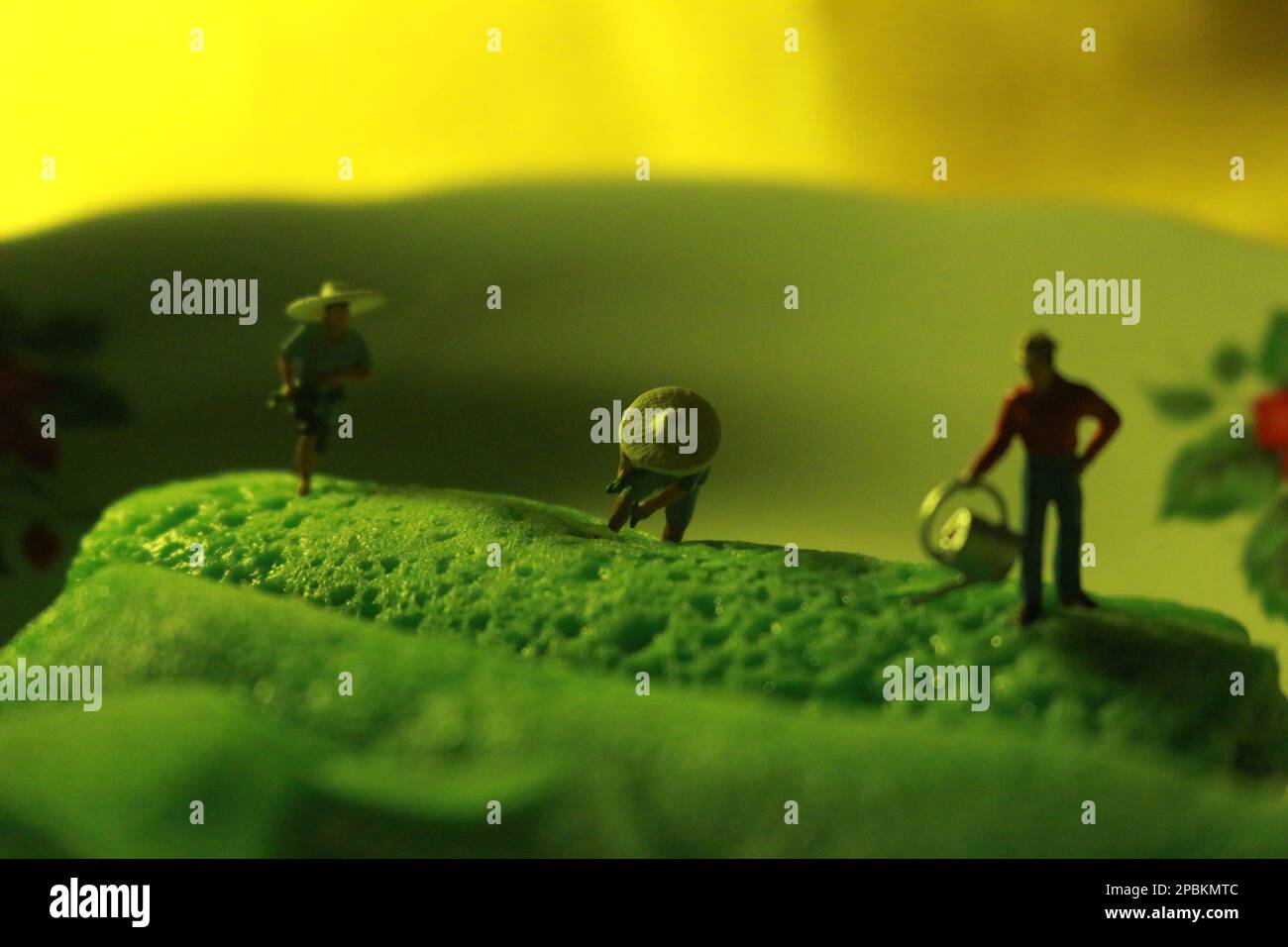 figure in miniatura di agricoltori al lavoro su pancreola verde rotolini. concetto di agricoltura foto. Foto Stock