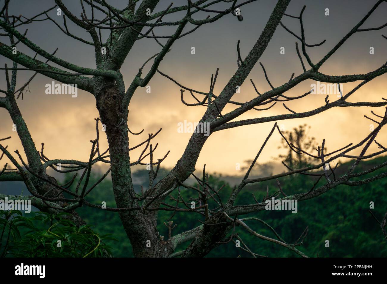 Scena pre-alba in montagna. Mix di scarsa illuminazione. Foto scattata da Chittagong, Bandarban, Bangladesh. Foto Stock