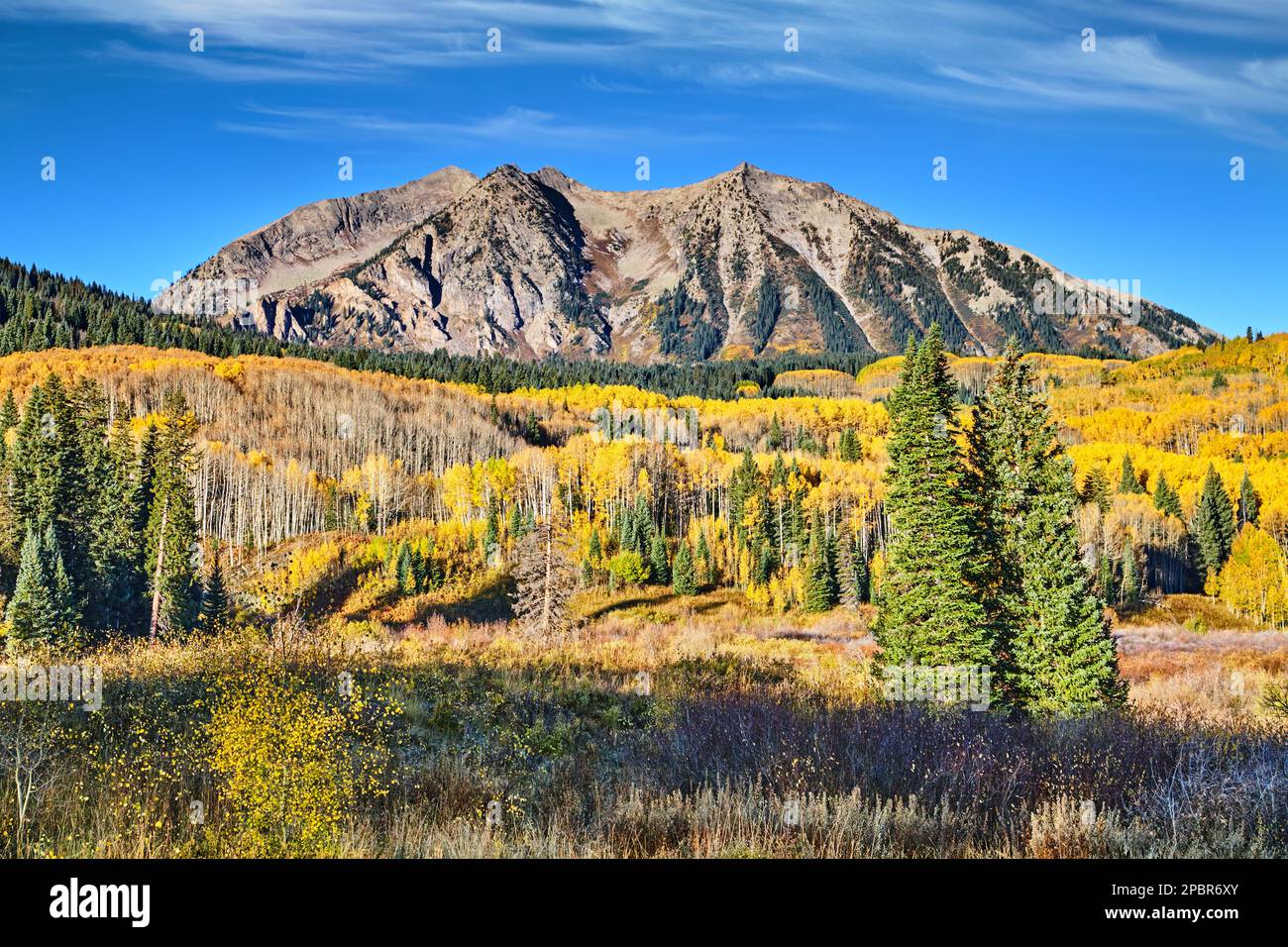 East Beckwith Mountain vicino a Kebler Pass, Gunnison National Forest, West Elk Mountains, Colorado, Stati Uniti Foto Stock