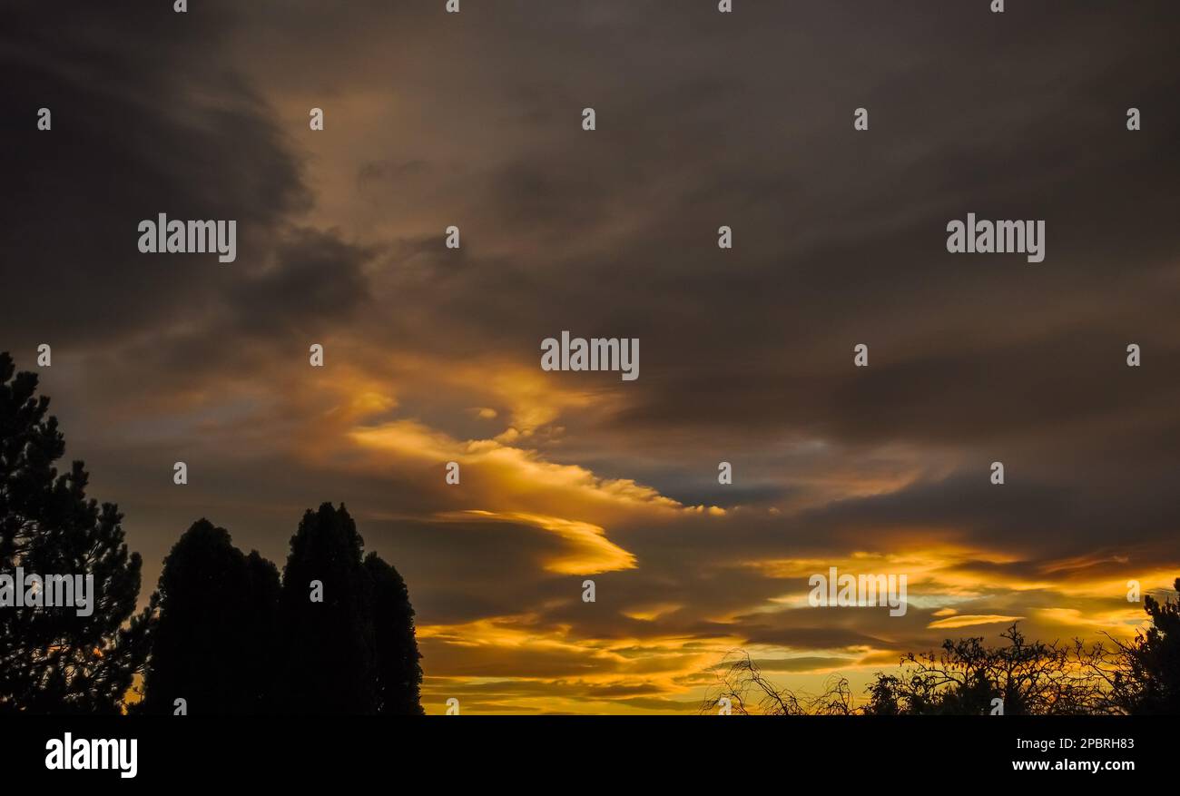 tramonto colorato con splendide nuvole e alberi scuri Foto Stock