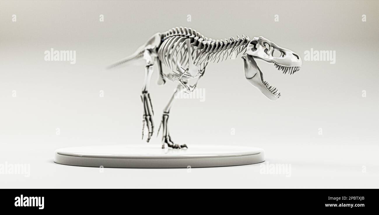 tyrannosaurus rex isolato su sfondo bianco illustrazione 3d Foto Stock