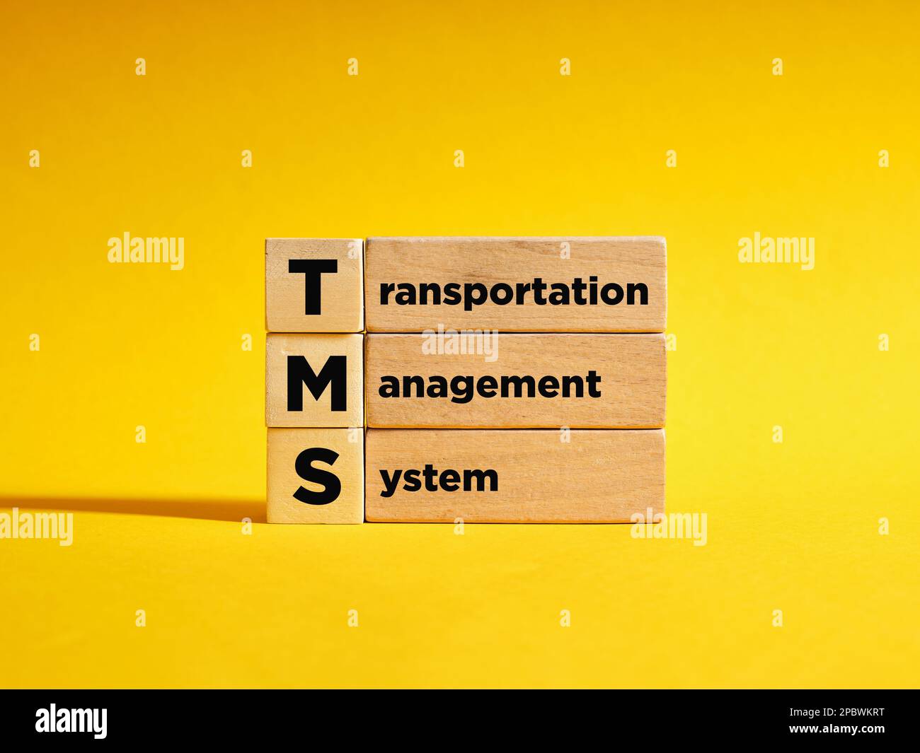Cubi di legno con l'acronimo TRM Transport Management System. Pianificazione e coordinamento delle attività di delivery logistica. Foto Stock