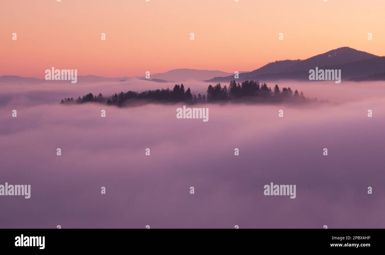 La nebbia di mare nella luce rosa è molto bella e favolosa, pittoresca onda vaga rotolata sulle pendici delle cime Foto Stock
