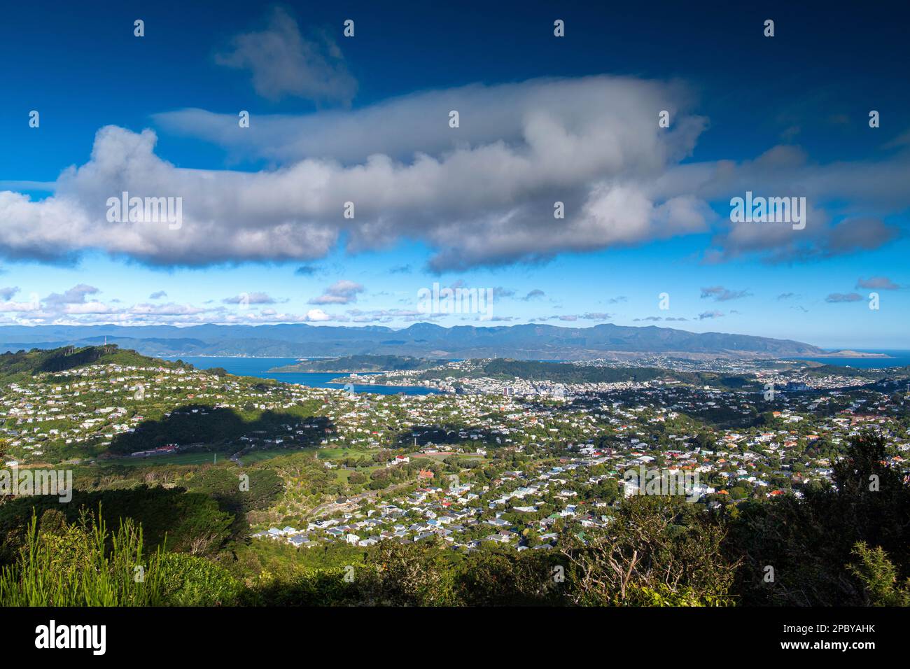 Vista panoramica su Wellington, Nuova Zelanda Foto Stock