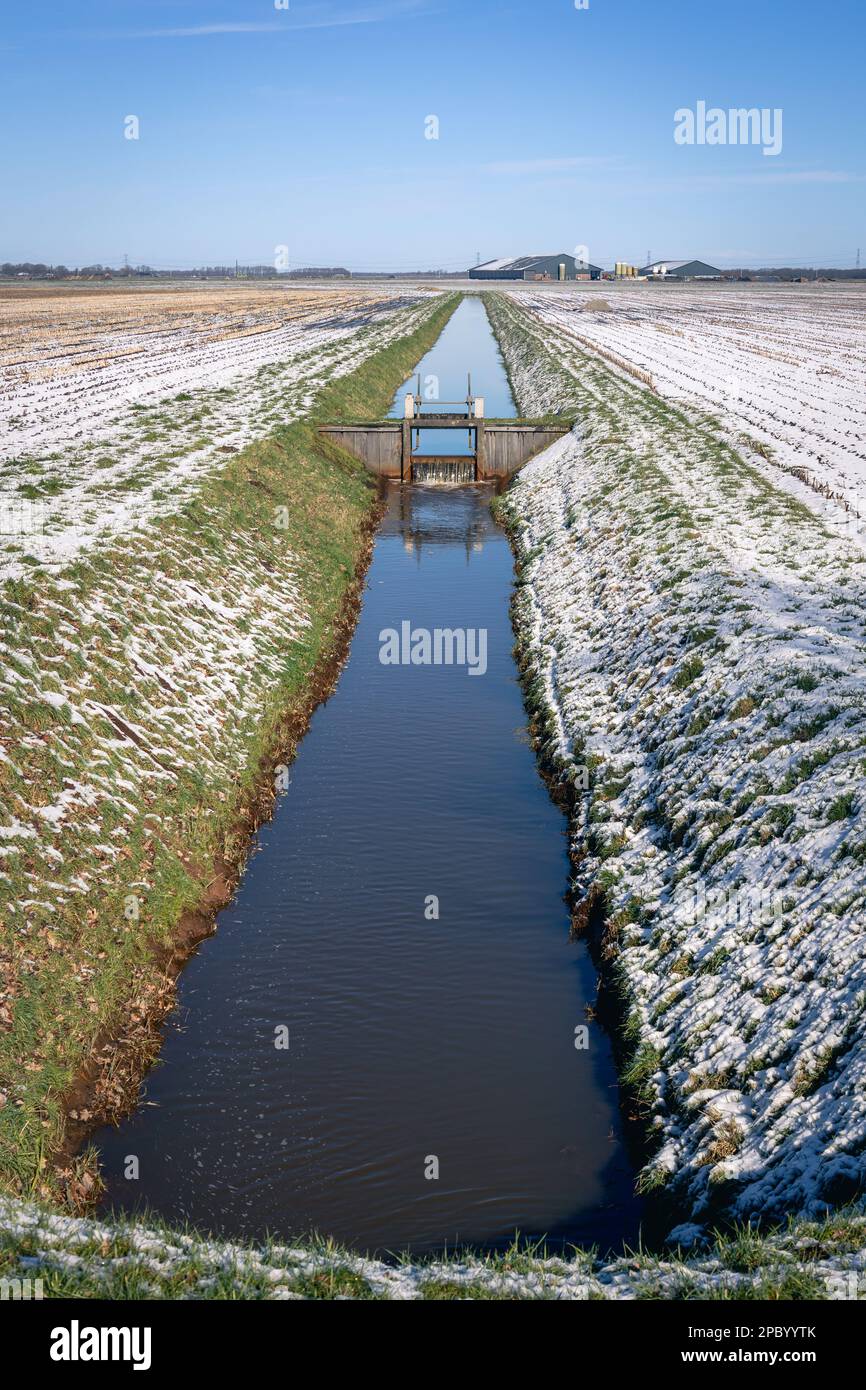 Tipico paesaggio olandese con prati, neve, fattorie, fossi e chiuse per mantenere il livello dell'acqua, provincia di Drenthe, Paesi Bassi Foto Stock