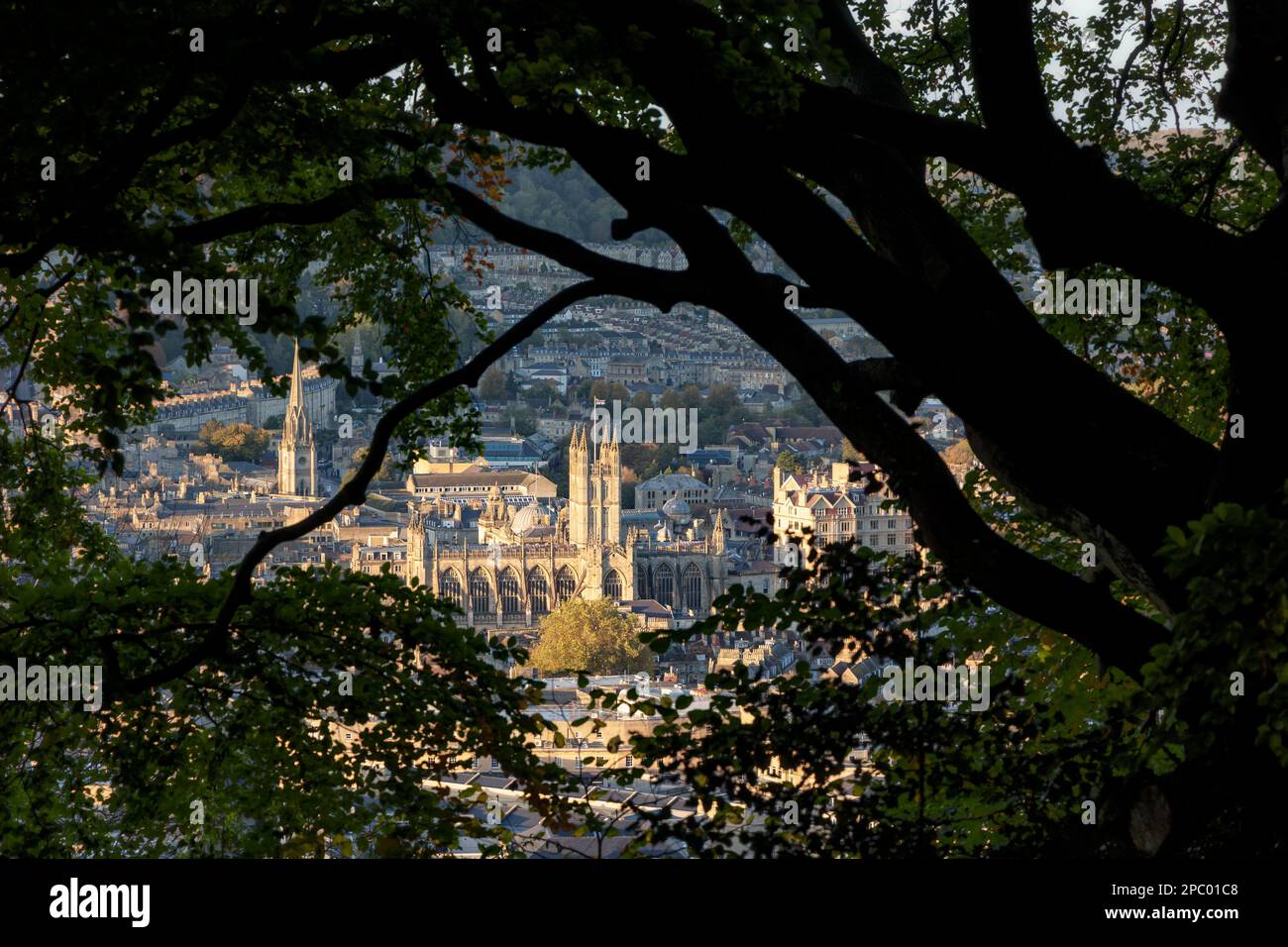 Abbazia di Bath e luoghi di interesse della città visti attraverso gli alberi di Alexandra Park, Beechen Cliff, Bath, Inghilterra, Regno Unito Foto Stock