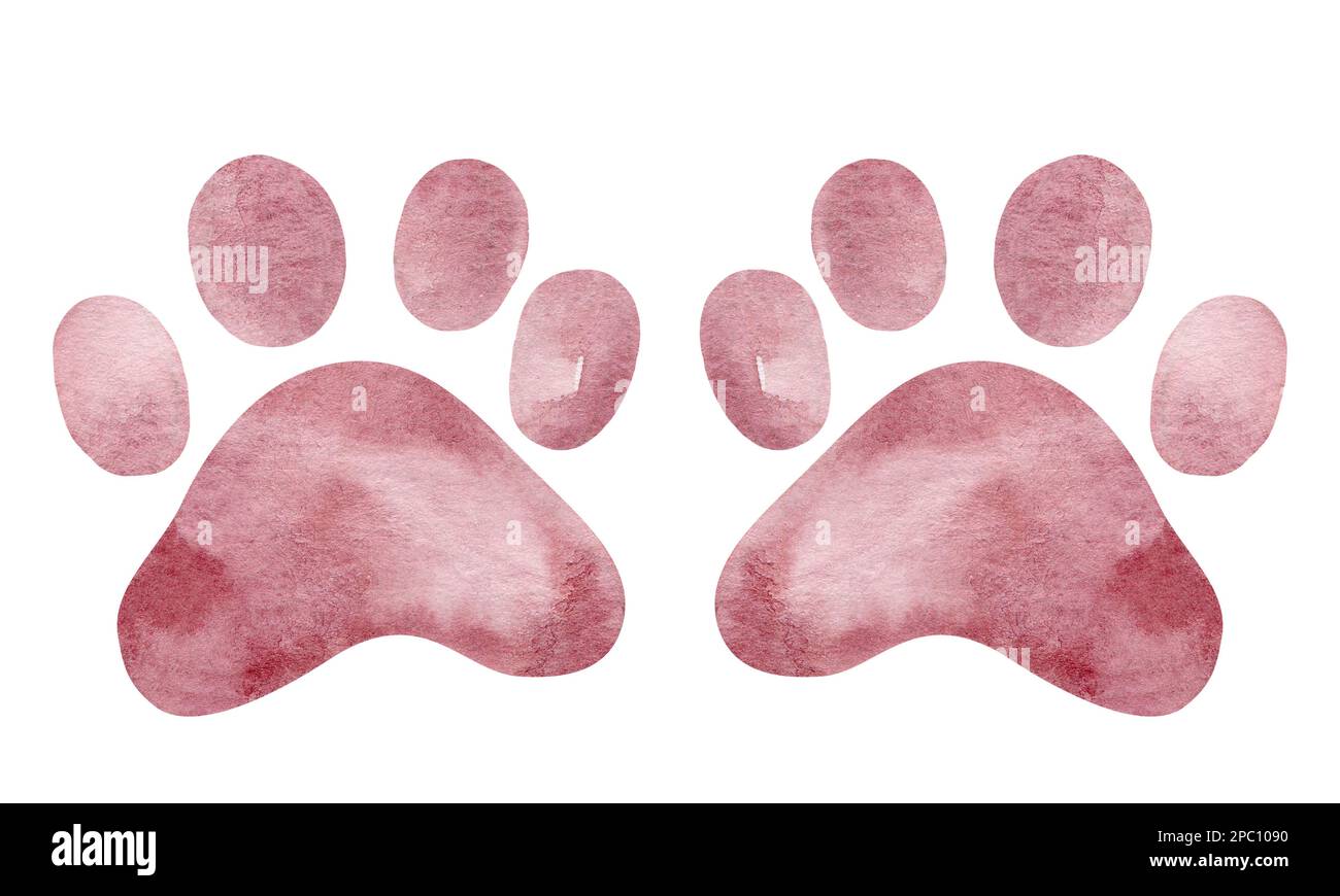 Tracce di animali. Silhouette dei piedi degli animali. Percorso per camminare sulle zampe di animali selvatici o impronte. Footprint acquerello. Foto Stock