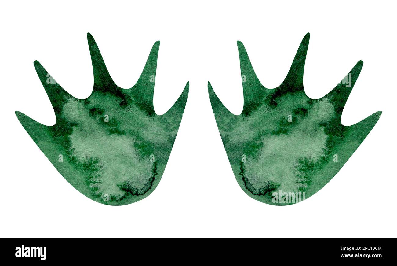 Tracce di animali. Silhouette dei piedi degli animali. Percorso per camminare sulle zampe di animali selvatici o impronte. Footprint acquerello. Foto Stock