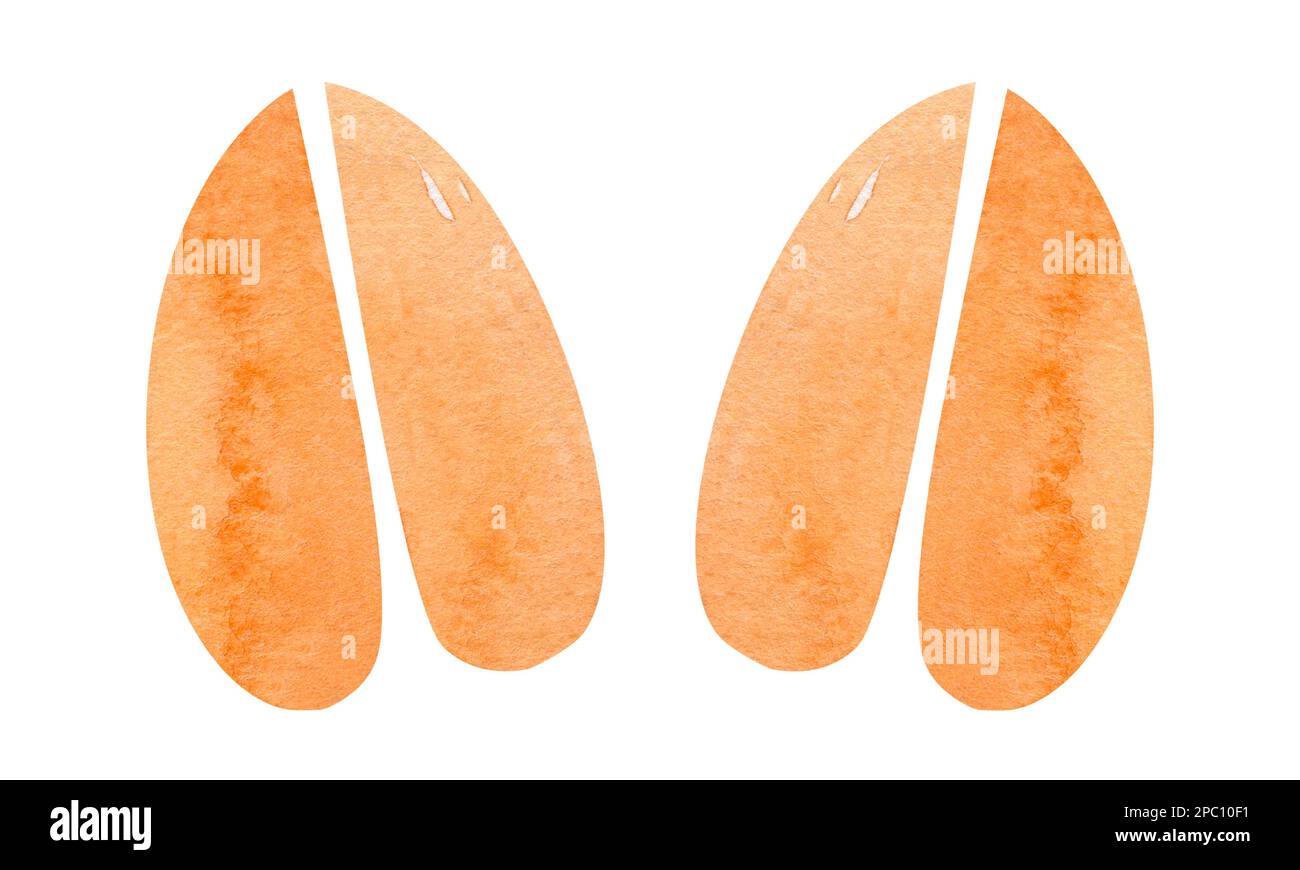 Tracce di animali. Silhouette dei piedi degli animali. Percorso per camminare sulle zampe di animali selvatici o impronte. Footprint acquerello. Foto Stock